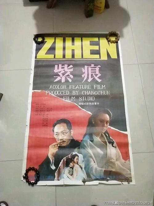 奥尔良大学建筑学文凭证书